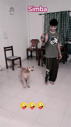 Simba Game khelte hue..🤪🤪🤪🤪 #goldenretreivers