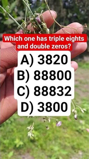 Which one has triple eights and double zeros? #brainteaser