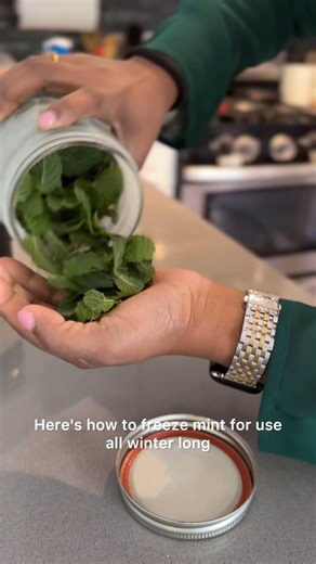 Santhi | Freeze mint to use anytime 🍃 #mint #herbs #storage #kitchenhacks | Instagram