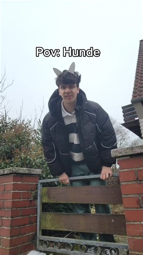 Hunde Comedy: Lustige Momente mit Vierbeinern