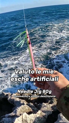 Valuto le mie esche artificiali: Needle Jig 80g