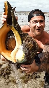 biggest shell in the world.. | Brodiemoss