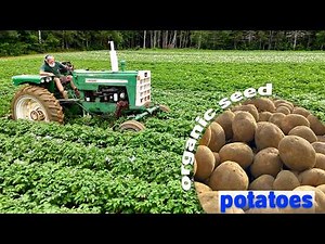 Organic Farming VS Conventional Farming