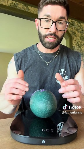 Hatching White Emu Eggs: Arrival & Incubation