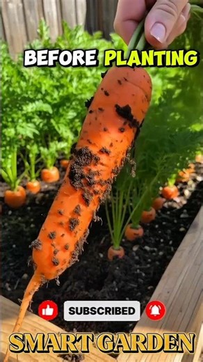 THIS SECRET LIQUID GROWS HUGE CARROTS 😱🥕