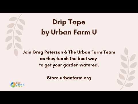 Installing Drip Tape March 2026 With Greg Peterson