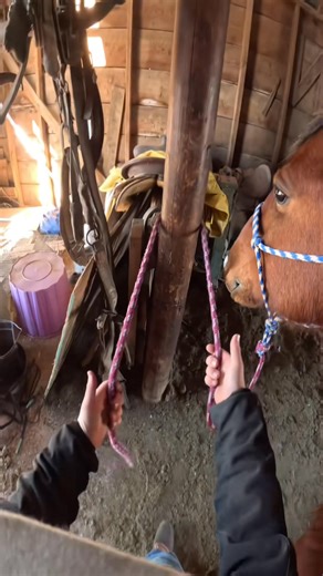 6.5K views · 86 reactions | Replying to Pretty slick and easy. Good little slip knot to know! #knot #southdakota #western #punchy #longlivethewest #cowpoke #cowboy # #country #slipknot #ranchlife | Ben Kretch CowBoy | Facebook