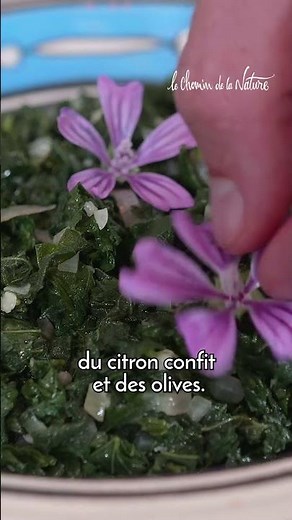 Mallow, a plant with many benefits! 🌿