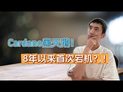 Cardano黑天鹅事件！8年无宕机神话破灭了？ | HelloYFi
