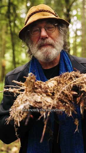 What has mycelium taught Paul Stamets about life? Part 3
