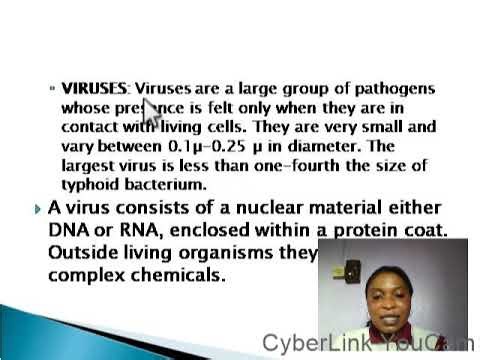 BIOLOGY CLASS ON MICROORGANISMS AROUND US