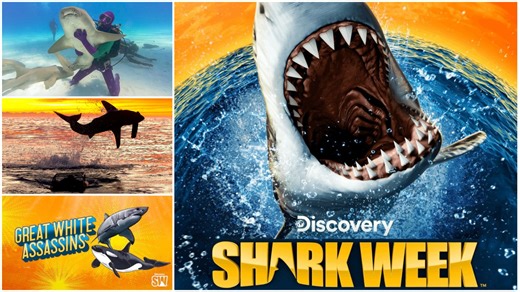 Shark Week 2025 Night 1 Preview: Dancing with Sharks, Air Jaws & More