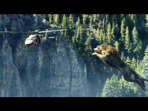 Rampag hunting the monster wolf | Movie Clip HD