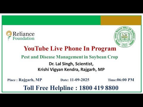 Pest and Disease Management in Soybean Crop