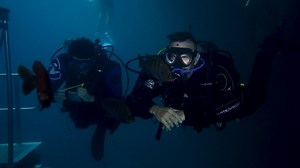 10K views · 41 reactions | It's always good when one of the tester...