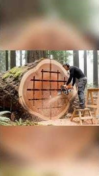Make a house in an ancient tree trunk #build #treehouse #outdoors #survival