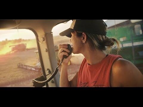 Wheat Harvest 2018 Zeka Farms