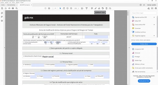 AM-SRT Formato Editable PDF - Angellomix