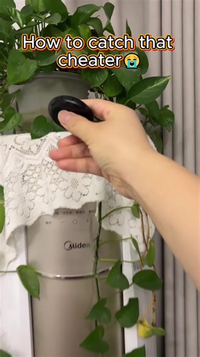 bluestar-No.2 on TikTok