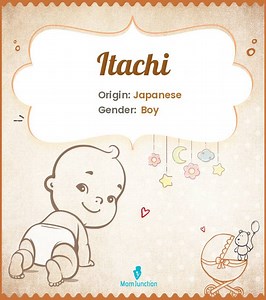 Itachi Baby Name: Meaning, Origin, And Popularity Guide Name Meaning, Origin, History, And Popularity