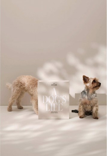 Create the Perfect Dog Photo Album for Your Pup