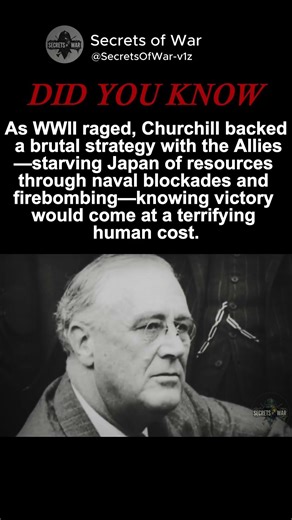 The Ruthless Allied Strategy That Crushed Japan in WWII