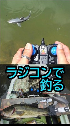 サメのラジコンで釣る！ #fishing #釣り #バス釣り