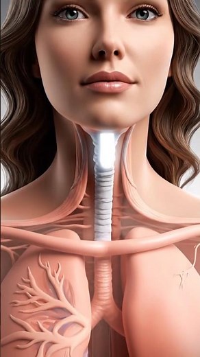 Human Body Explained in 3D 🫀