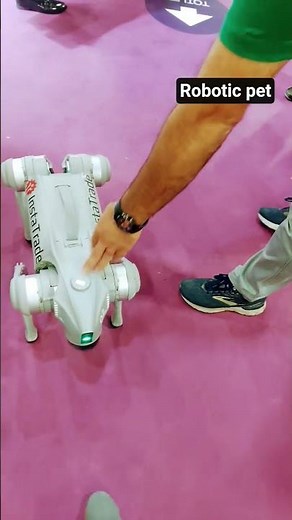 Meet Dubai’s Robotic Pet – The Future of Companionship 🤖🐾