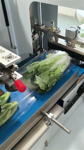 Automatic Vegetable Packaging: Save Labor & Boost Speed for Fresh Produce