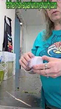 Smokin hot bogo sale