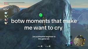 Funny Moments in Breath of the Wild Gameplay