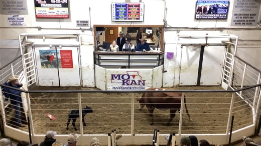 Mo-Kan Livestock on Reels