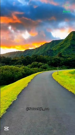 Nature | Nature Lover | Beauty Of Nature | 4K Nature #nature #viral #shorts