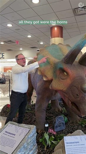 Meet Dr. Erickson: The Paleontologist Behind Dinosaur Explorer