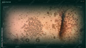 Analyzing the infection in the blood under the microscope. Microscopic study of the blood infection. Microscopic analysis of the blood structure with spreading infection bacteria. User Interface.