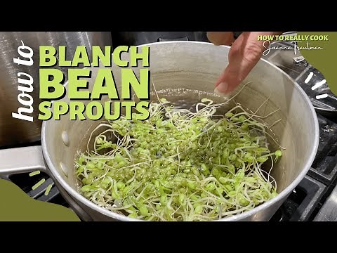 How to Blanch Bean Sprouts | Blanching | Boiling | Fast-Cook | Crunchy | Oil Free | Cooking Show