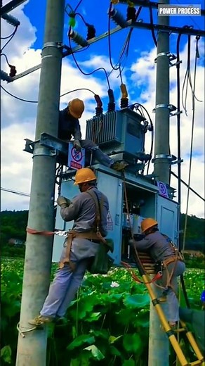 How To Install Pole Mounted Transformer #electrician #trending #shorts