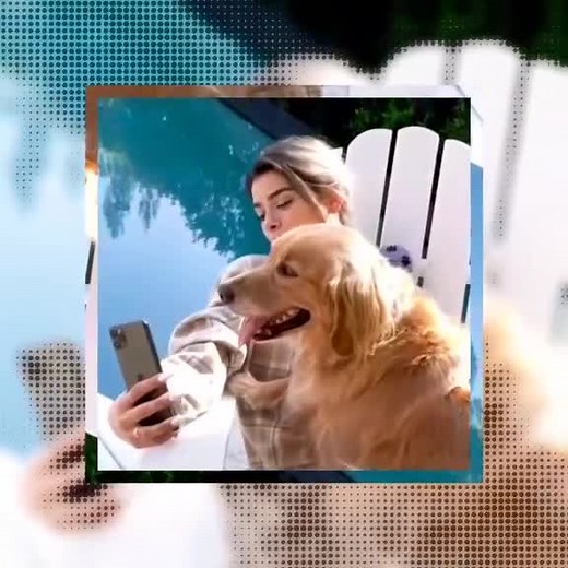 eu consegui o funimate pro de graça, vou fazer uma live agora, vcs entrariam? FALA RÁPIDO SE NÃO EU NÃO FAÇO #paravoce #fypシ #vine #foryou