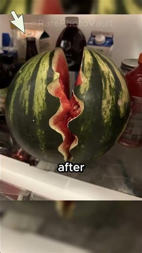 Incredible Rare Photos That Show the World’s Most Unusual Moments | 238