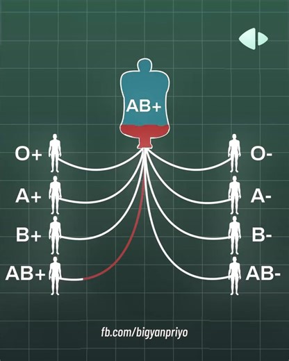 কোন গ্রুপ কোন গ্রুপকে রক্ত দিতে পারে তা দেখে নাও এই ভিডিও থেকে 😀 ভিডিও ক্রেডিটঃ বিজ্ঞানপ্রিয় - bigyanprio | Rhombus Parallel Science Hub
