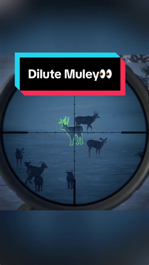 Dilute Muley👀 #COTW #Hunting #Gaming #Fyp