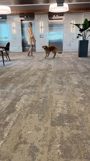 Welcome to the Southern First family, Jake! | Southern First Bank