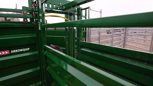 The Rolling Alley Gate is the easiest and most effective way to control cattle flow through your handling system. Designed to integrate within your alleyways, the Rolling Alley Gate provides user-friendly operation with an offside handle and a top-mounted track which eliminates build-up. For more information, visit http://fal.cn/ryBG. | Arrowquip