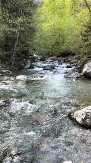 Gentle River Stream Sounds | Pure Flowing Water for Deep Relaxation