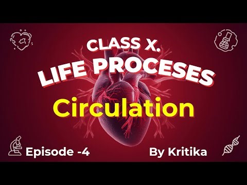 Life processes - Transportation/Circulation topic with questions | Class - X | Part - 4 | By Kritika