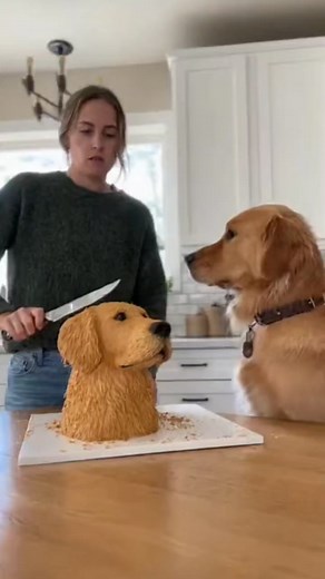 856K views · 12K reactions | Veryfunnydogprank藍藍#PetReaction #CakePrank #FunnyDogs #DogPrank #Funnycat #aigenerated #Sora2AI #cake #dogprank #funnyvideos #petreaction | We Are Love Animals | Facebook