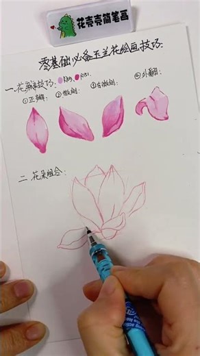 Here's a tutorial on how to draw stunning magnolia flowers without foundation at all