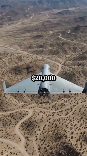 Why does Iran Actually Use Cheap MOPED Engines in their Kamikaze Drones? #military #war