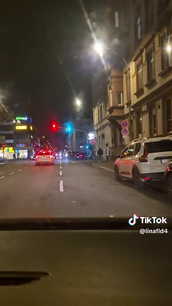 Lina (@linafld4)’s videos with original sound - 🌷N/S🍃